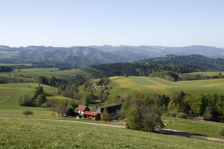 Frühlingslandschaft