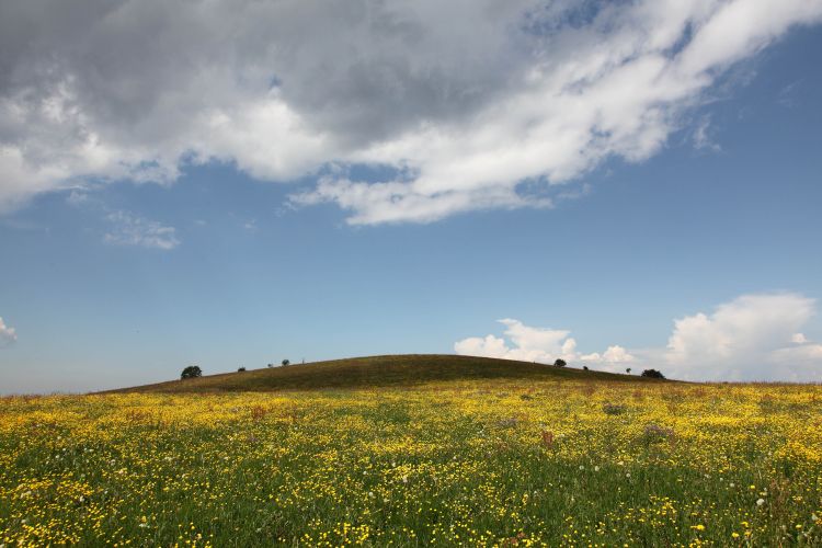 Frühlingslandschaft im Schwarzwald