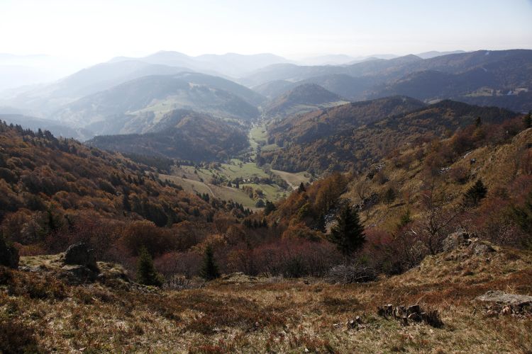 Blick vom Belchen