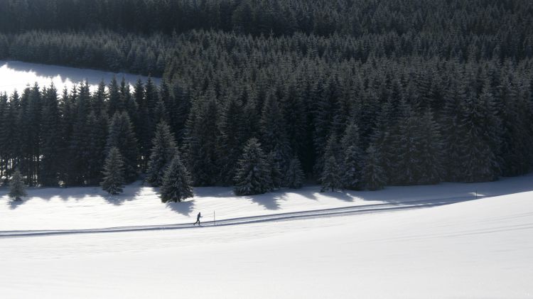 Langläufer
