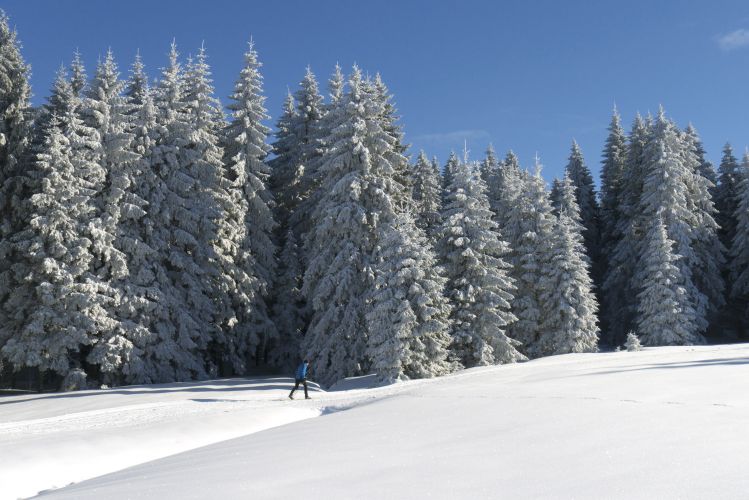 Langläufer