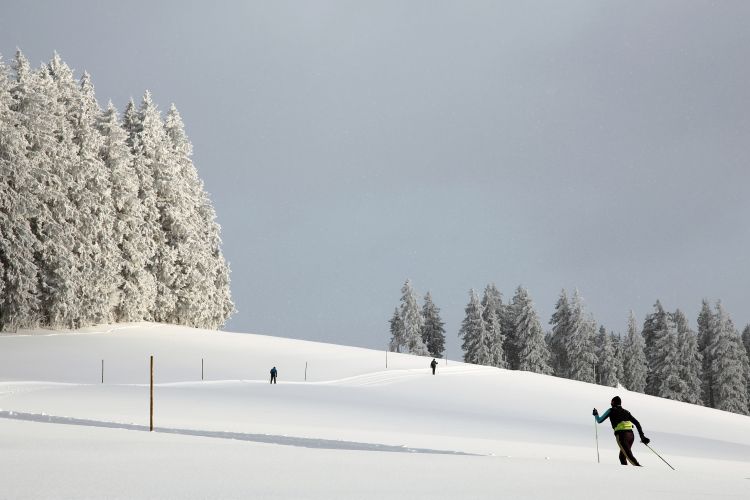 Langläufer auf der Thurnerspur