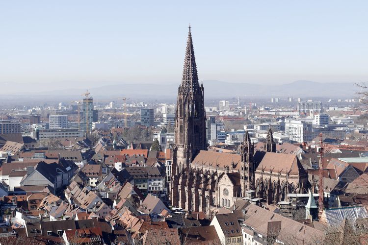 Münster Freiburg