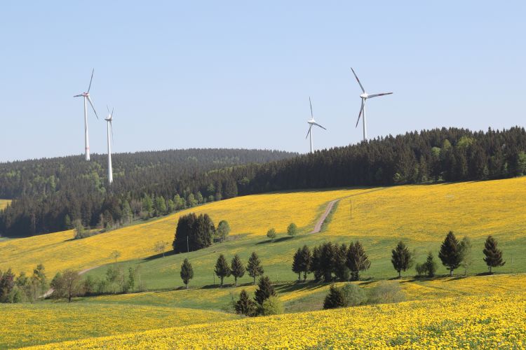 Windräder