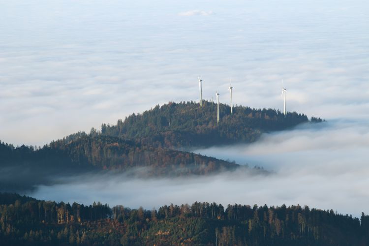 Windräder auf dem Rosskopf